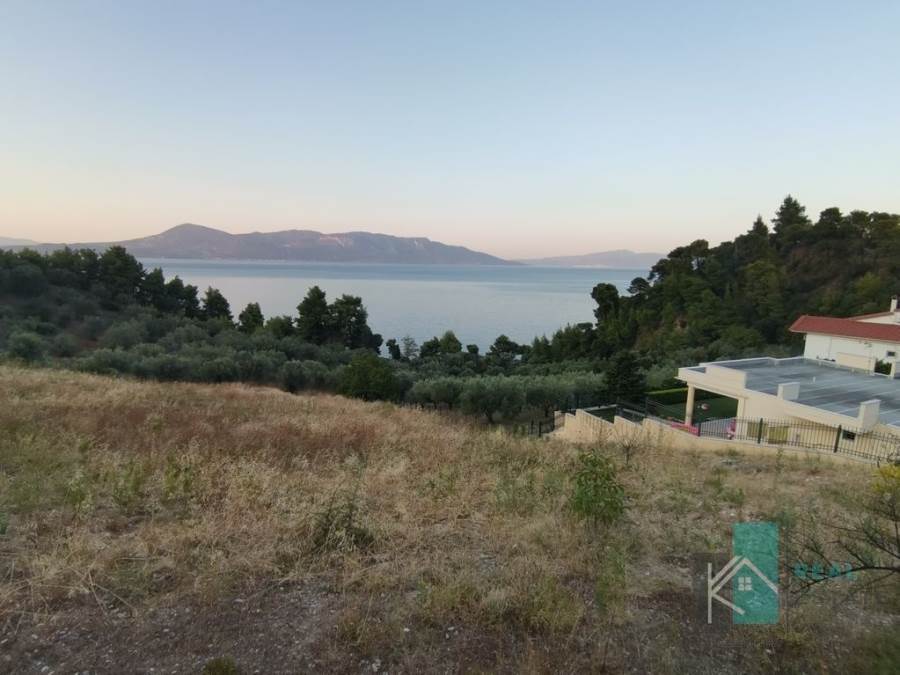 (For Sale) Land Plot || Fthiotida/Agios Konstantinos - 4.000 Sq.m, 80.000€ 