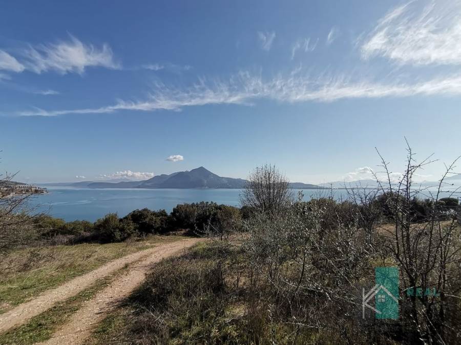 (Προς Πώληση) Αξιοποιήσιμη Γη Οικόπεδο εκτός σχεδίου || Ν. Φθιώτιδας/Εχιναίοι - 4.000 τ.μ, 160.000€ 