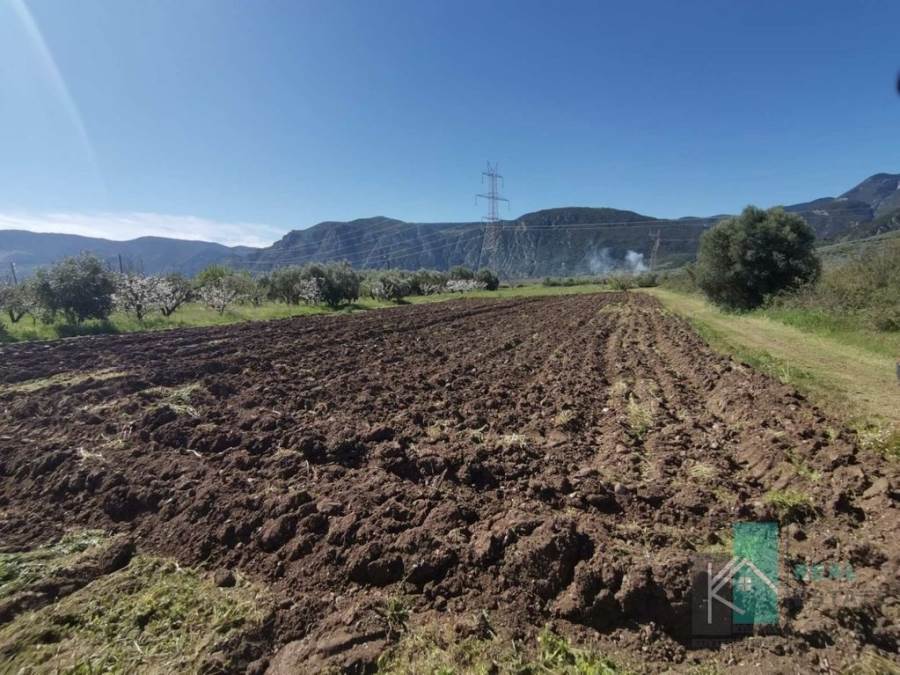 (For Sale) Land Agricultural Land  || Fthiotida/Gorgopotamos - 2.500 Sq.m, 6.500€ 