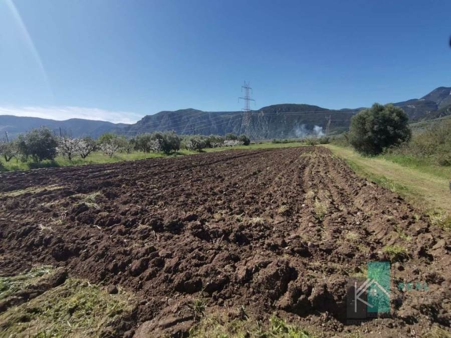 (Προς Πώληση) Αξιοποιήσιμη Γη Αγροτεμάχιο || Ν. Φθιώτιδας/Γοργοπόταμος - 2.500 τ.μ, 6.500€ 